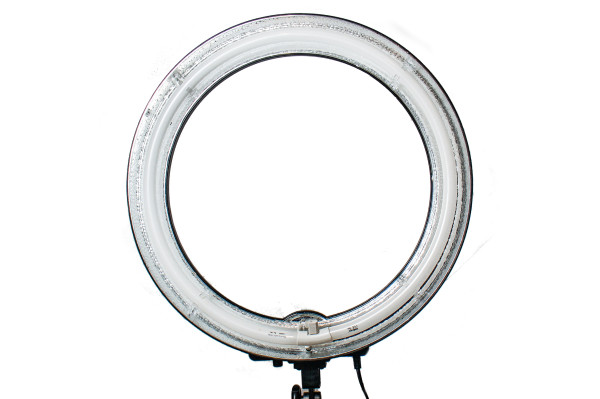 Versuchskaninchen Ringlicht